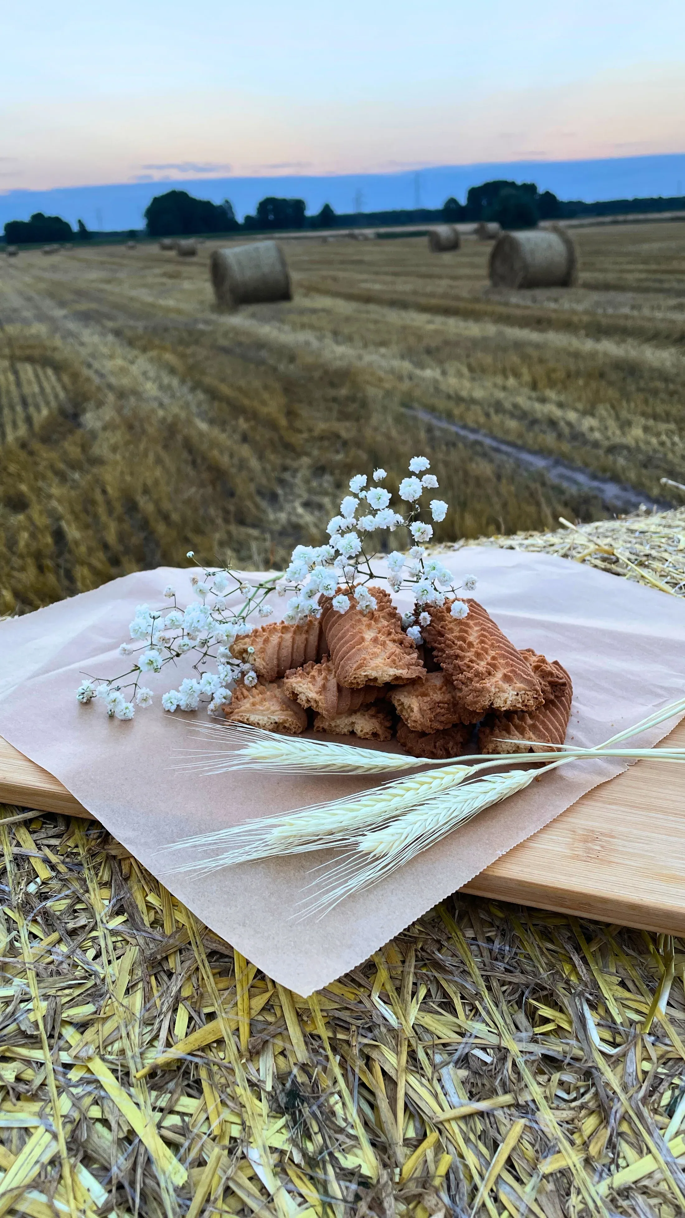 Ciastka na żytnim polu z chabrem — Podlasie